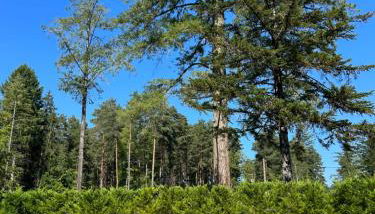 DOMAINE DE MALVAUX - Gîte classé 5 étoiles - 15 personnes - Sologne - Nouan le Fuzelier - Ambassadeur Sologne - Photo 4