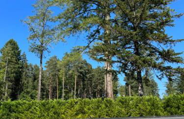 DOMAINE DE MALVAUX - Gîte classé 5 étoiles - 15 personnes - Sologne - Nouan le Fuzelier - Ambassadeur Sologne - Photo 4