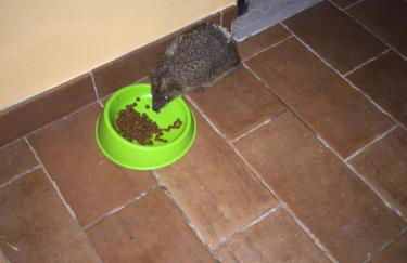 Agriturismo L'isola - Foto 8