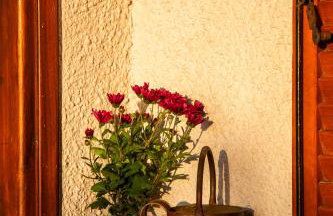 Beetle Villa retro country house - Foto 25