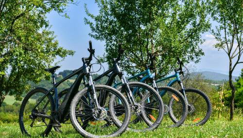 Wildernest Holiday Home - Foto 2