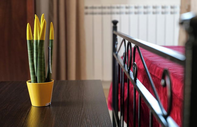 Tenuta Ricco Mono With Pool And Garden - Foto 11