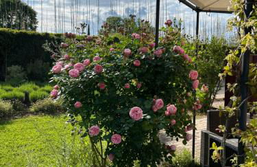 Bastide du Bau Reddoun - Foto 31