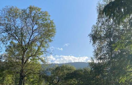 Foix Villa 150m2 dans très grand parc arboré - Foto 37