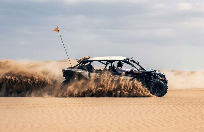 Balade privée en buggy tout-terrain dans le désert d'Huacachina - Photo 6