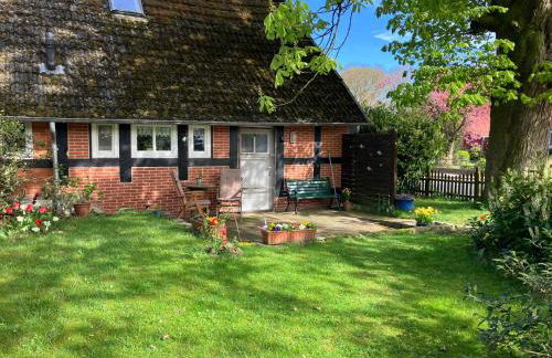 Ferienapartment Kastanje - Foto 20