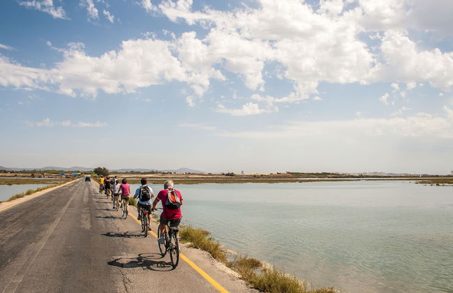 Pedras d'el Rei - Foto 53