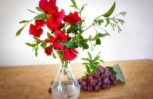 Areti Aparthotel - Foto 24