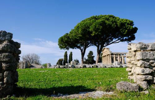 La Laura di Paestum - case vacanze - Foto 34