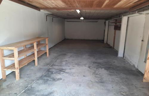 Hêtre pourpre - Foto 25