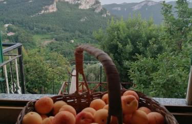 Agriturismo Caruggiu di via vecchia - Foto 69