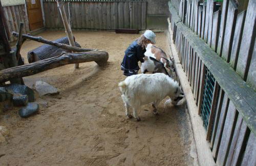 Bischofswerda Ferienwohnung Familienfreundlich Seniorengerecht - Foto 53
