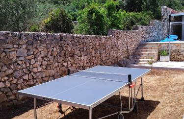 Olive Tree - House with Pool - Photo 35