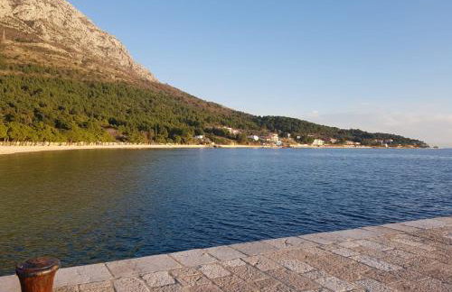 Apartments Latkovic - Photo 49