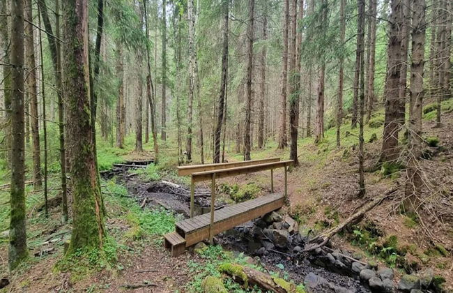 6 Person Holiday Home in Vreta Kloster - Foto 15