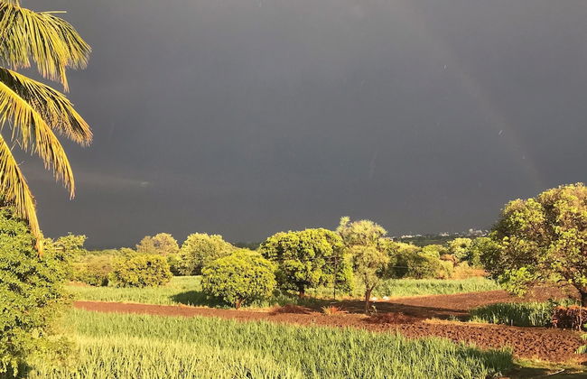 ingawale farmhouse - Photo 38