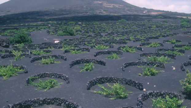 Alla scoperta di Lanzarote - Tour di un giorno intero - Foto 5