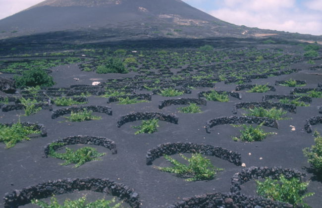 Alla scoperta di Lanzarote - Tour di un giorno intero - Foto 5