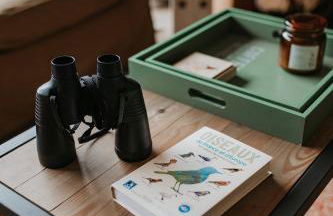 Gîtes du Bulz, en pleine forêt proche de la mer - Photo 65