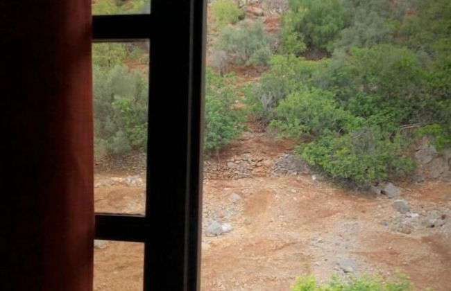 MINA HOUSE - Photo 18