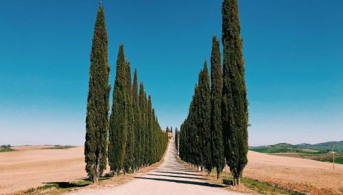 MoVa Appartamenti Vacanze - Foto 2