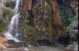 Los Gavilanes BOGARRA - Foto 3