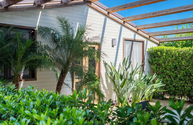 Agriturismo Terra dei Limoni - Foto 49