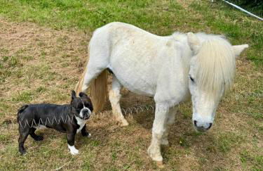 la vallée du paradis studio avec balnéothérapie en campagne - Foto 45