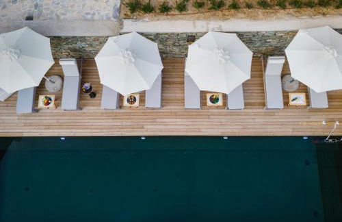 Five Olive Dream Trip - Photo 18