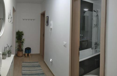 Romana Soul - Foto 13