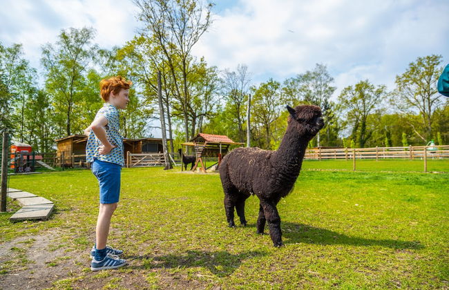 Europarcs Hoge Kempen - Foto 54