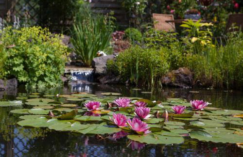 Ferienwohnung Am Korretsberg - Foto 30