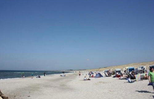 Das Schilfrohr - Foto 9