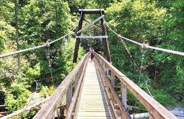 LUXURY CABIN WITH WATERVIEW AND PRIVACY, hiking - Photo 45