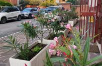 Top Apartments Roma 2 Metro A Free Parking - Foto 14