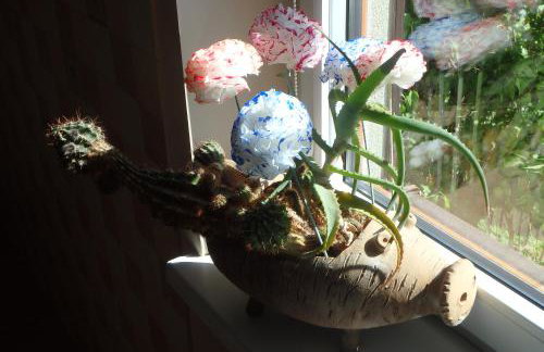 U Aptekarzy - Foto 70