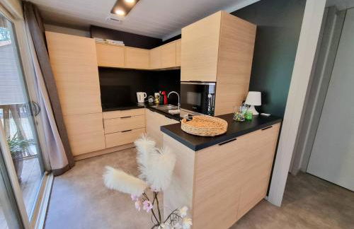 Chalet 18 tout confort pour un séjour dans domaine avec Piscine et en bordure Lac avec plage artificielle - Foto 7