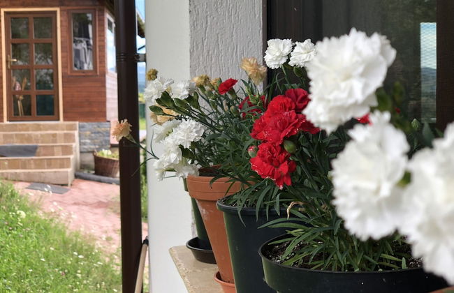 Branmontecrai - Foto 45