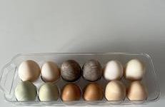 Maneight Retreat with Hot tub - Foto 8