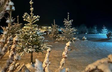 Domki Nad Sanem Bachórzec 6a - Foto 68