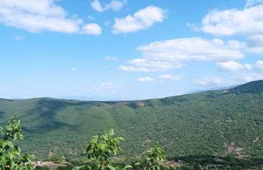 Άγρια Λούλουδα Κατοικία Ευτυχία - Photo 78