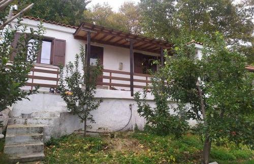 Maro's Guesthouse - Foto 6