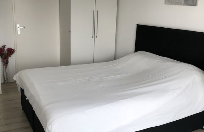 MyCityLofts - Calypso - Foto 14