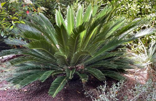 Les Jardins du Castelas - Domaine et Spas - Foto 29