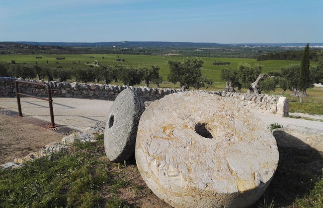 Masseria Amastuola Wine Resort - Photo 79
