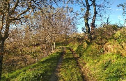 Casa de Abril 1 - Foto 30