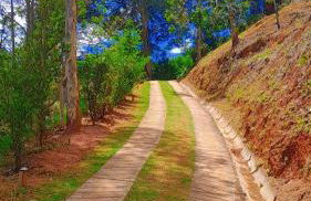 Chalé da Mantiqueira SFX , Pet friendly - Foto 16