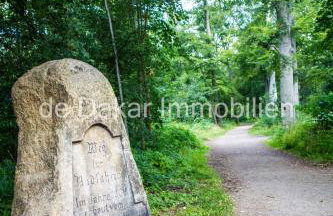 Schöne Wohnung für 4 Gäste an der Eilenriede mit kostenlosen Parkplätzen - Foto 25