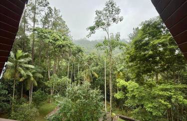 Cabana Eucalipto - Photo 77