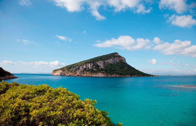 Baia de Bahas Residence - Foto 52